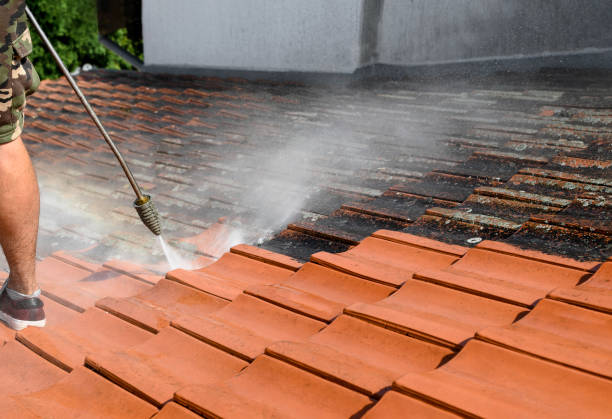Best Garage Pressure Washing  in Kaunakakai, HI